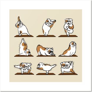 Funny bulldog yoga pose Posters and Art